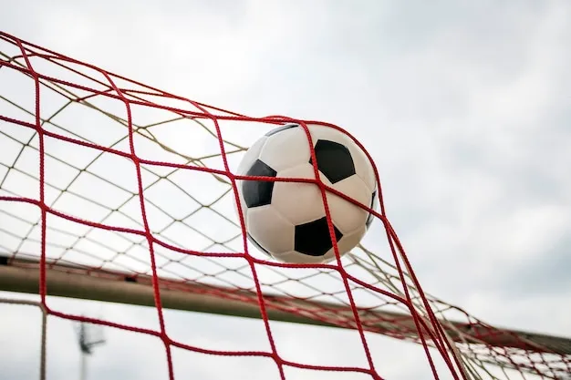 K1体育平台 技术与稳定性